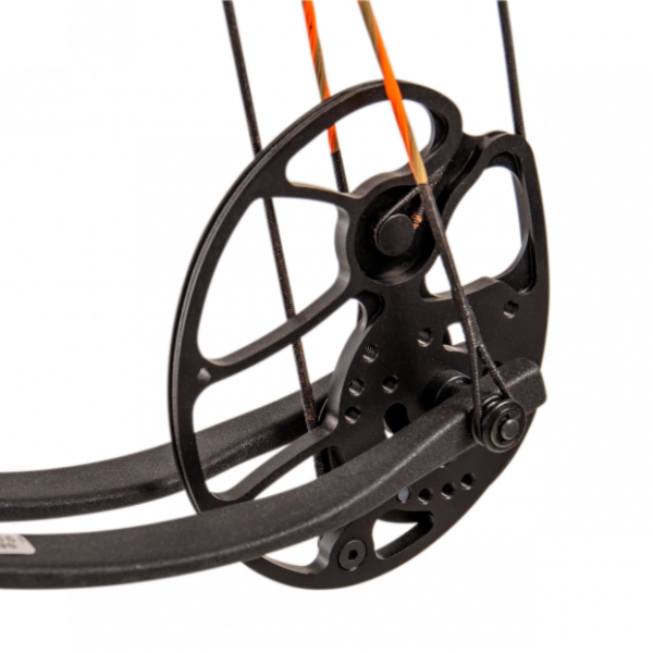 BEAR - Kit ROYALE RTH Extra – Image 6