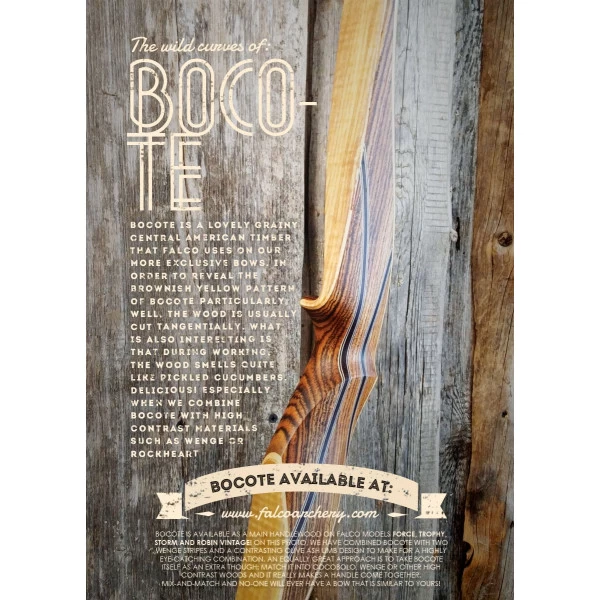 FALCO - Longbow STORM 2 VINTAGE 54" â Image 3