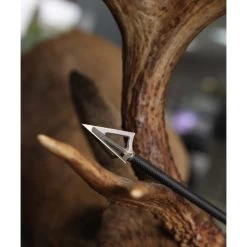 G5 - Lame De Chasse MONTEC Crossbow